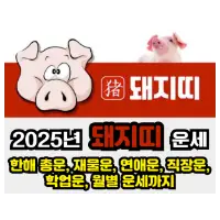 특성_2025년 돼지띠 운세
