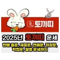 특성_2025년 토끼띠 운세
