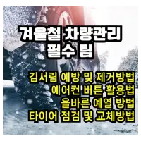 특성_겨울철 차량관리법