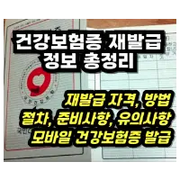 특성_건강보험증 재발급