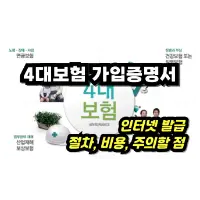 특성_4대보험 가입증명서