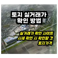 특성_토지가격 실거래가 확인 방법