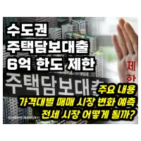 특성_주담대 한도 제한 6억 원