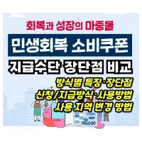 특성_민생회복 소비쿠폰 지급수단별 장단점