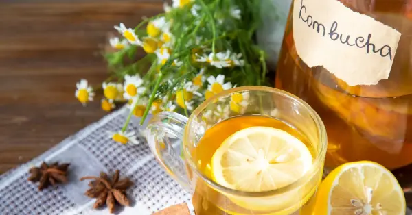 위장에 좋은 차_콤부차