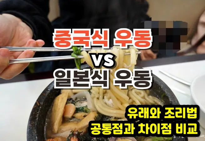 중국식 우동 vs 일본식 우동 차이점 총정리, 기원부터 역사, 황금 레시피까지 중국식 우동 일본식 우동 비교