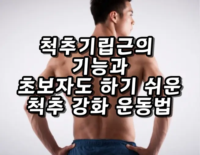 척추기립근 운동법