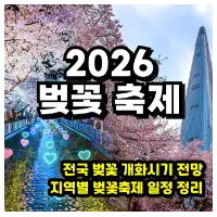 특성_2026 벚꽃축제