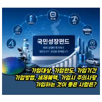 특성_국민성장펀드 정리