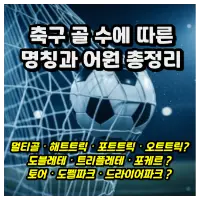 특성_축구 골수에 따른 명칭